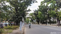 Kata Bobby Soal Proyek Lampu Jalan yang Dikritik Hasyim: Ada Masalah