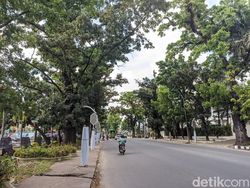 Kata Bobby Soal Proyek Lampu Jalan yang Dikritik Hasyim: Ada Masalah