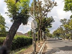 Ini 6 Kontraktor Proyek Lampu Pocong yang Diminta Kembalikan Rp 21 M