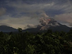 Gunung Merapi Kembali Muntahkan Awan Panas, Jarak Luncur 2 Km