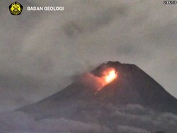 Penampakan Muntahan Lava Pijar Gunung Merapi Sejauh 2 Km