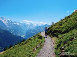 Lenyapnya Edelweiss di Gunung Alpen gegara Ulah Turis