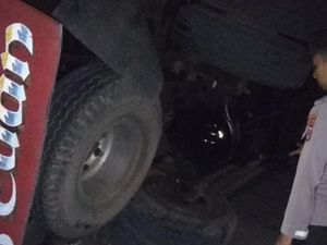 Jalan Lubang, Truk Muat Kelapa Terguling di Lembar