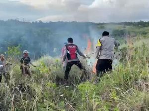 3 Hektare Lahan di Bukit Teletubbies Nusa Penida Terbakar
