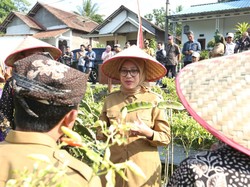 BI Gelar Gerakan Nasional Pengendalian Inflasi Pangan di Banyuwangi