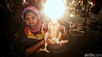 Harga Ayam Potong Merangkak Naik Jelang Ramadan