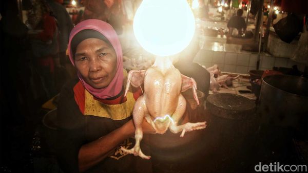 Harga Ayam Potong Merangkak Naik Jelang Ramadan