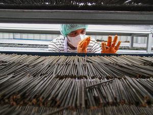 Intip Produksi Sedotan dari Rumput di Palangka Raya