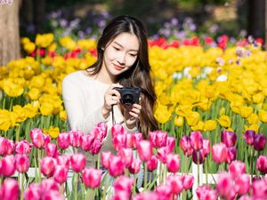 8 Arti Bunga Tulip Berdasarkan Warna, Lambang Cinta hingga Harapan 8 Arti Bunga Tulip Berdasarkan Warna, Lambang Cinta hingga Harapan