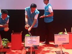 50 Ribu Pohon Sumber Biomassa Ditanam di Gunungkidul, Ini Manfaatnya