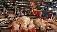 Jelang Ramadan, Harga Ikan Laut Stabil