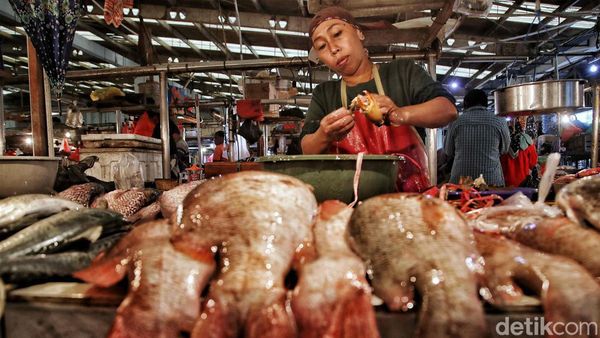 Jelang Ramadan, Harga Ikan Laut Stabil
