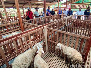 Belasan Napi dari Bapas Bogor Belajar Bikin Pakan Ternak di Kulon Progo