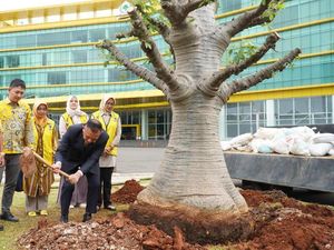 Sejukkan Kantor DPP Partai Golkar, Sachrudin-Airin Tanam Pohon Baobab Sejukkan Kantor DPP Partai Golkar, Sachrudin-Airin Tanam Pohon Baobab
