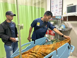 Sapi Seruduk Tuannya Hingga Tewas Setelah Dikawinkan