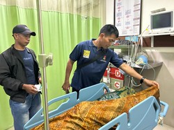 Sapi Seruduk Tuannya Hingga Tewas Setelah Dikawinkan