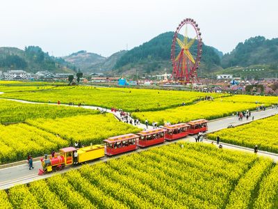 Serunya Keliling Kebun Bunga di China dengan Kereta Wisata