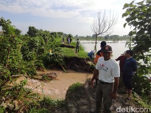 Debit Air Naik Sebabkan 3 Titik Tanggul di Dua Sungai Lamongan Jebol Debit Air Naik Sebabkan 3 Titik Tanggul di Dua Sungai Lamongan Jebol