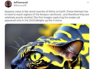 Viral Foto Hewan Kawin Silang Kucing dan Ular, Begini Faktanya