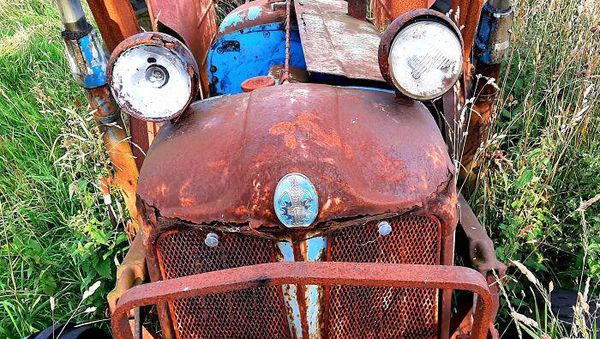 Potret Pareidolia di Kehidupan Sehari-hari yang Bikin Mata Terkecoh