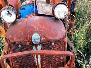 Potret Pareidolia di Kehidupan Sehari-hari yang Bikin Mata Terkecoh