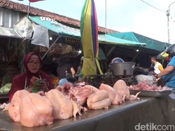 Permintaan Ayam Potong Meningkat Dua Kali Lipat di Trenggalek Jelang Megengan