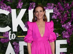 Dulu Ngaku-ngaku, Kini Kakak Julia Roberts Minta Maaf