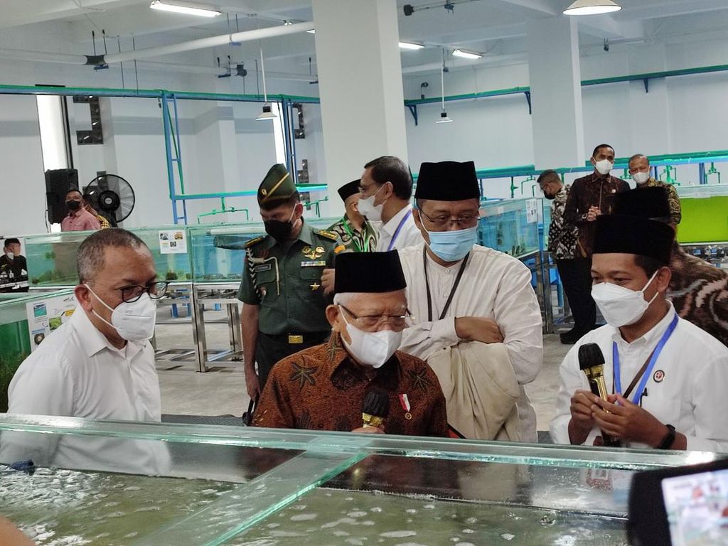 Tinjau Laboratorium BRIN di Lombok, Maruf Tanya soal Hasil Riset