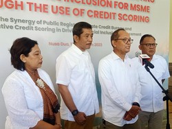 OJK Dorong Sinergi Lembaga Pemeringkat Kredit untuk Sokong UMKM