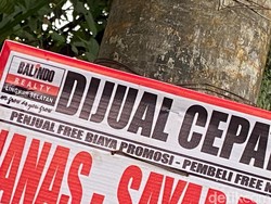 Duh! Iklan Ilegal Bertebaran di Jl LLRE Martadinata Bandung