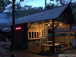 Nikmatnya Ngopi Sambil Healing di Tengah Gunung Gede Pangrango