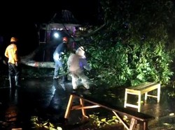 Angin Kencang Terjang Caruban Madiun, Pohon Tumbang-Rumah Rusak