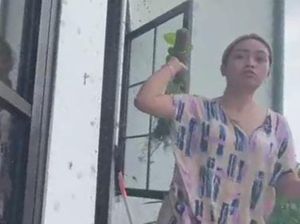Berharap Bebas, LC yang Lempar Pot ke Biduan Dangdut Tulang Punggung Keluarga Berharap Bebas, LC yang Lempar Pot ke Biduan Dangdut Tulang Punggung Keluarga