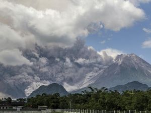 Geliat Erupsi Merapi Geliat Erupsi Merapi