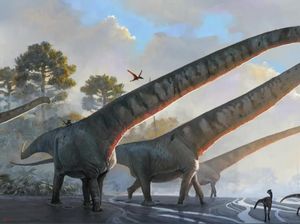 Ternyata Ini Dinosaurus Terpanjang di Bumi, Lehernya Mencapai 15 Meter Ternyata Ini Dinosaurus Terpanjang di Bumi, Lehernya Mencapai 15 Meter