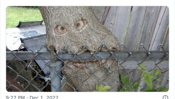 Deretan Foto Aneh yang Dibagikan Netizen Bikin Geleng-geleng