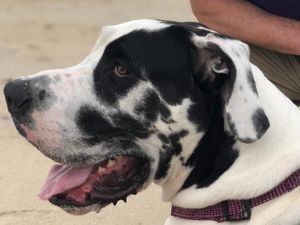 Deretan Foto Membingungkan Harus Dilihat Berkali-kali Biar Paham