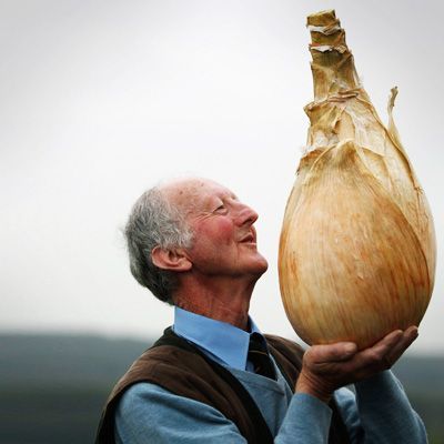 Gokil! Lobak dan Bawang Bombai Terbesar di Dunia Ini Pecahkan Rekor