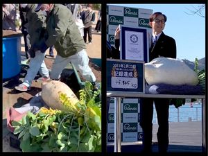 Gokil! Lobak dan Bawang Bombai Terbesar di Dunia Ini Pecahkan Rekor Gokil! Lobak dan Bawang Bombai Terbesar di Dunia Ini Pecahkan Rekor