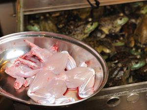 Catat! MUI Tetapkan Daging Katak Haram Untuk Dikonsumsi