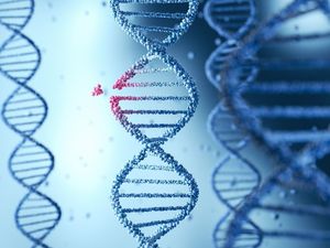 Apa Itu Genetika? Ini Pengertian dan Contohnya Apa Itu Genetika? Ini Pengertian dan Contohnya