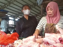 Naik Jelang Ramadhan, Harga Ayam Potong di Pasar Jambi Rp 32 Ribu/Kg