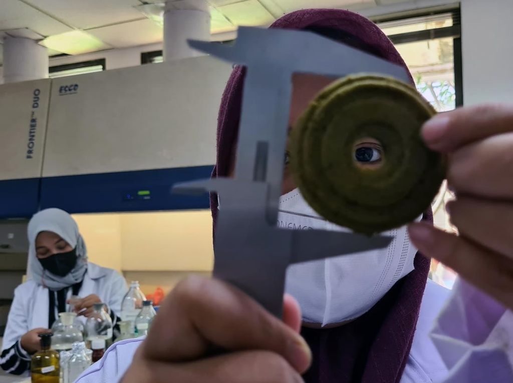 Keren, BRIN Sulap Daun Kelor jadi Biskuit dan Minuman Keren, BRIN Sulap Daun Kelor jadi Biskuit dan Minuman