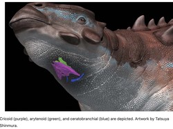 Terkuak Suara Dinosaurus Mirip Burung dari Fosil yang Ditemukan di Mongolia