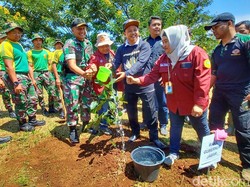 Wagub Uu: Jabar Makin Panas Ulah Penebang Pohon Sembarangan