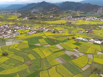 Menikmati Indahnya Wisata Pedesaan Paling Populer di China