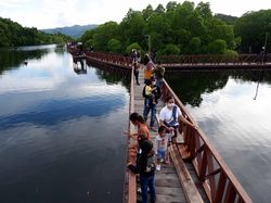 Menikmati Ekowisata Mangrove di Teluk Youtefa Jayapura
