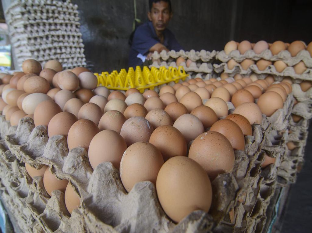Harga Telur di Palu Naik Jelang Ramadan Harga Telur di Palu Naik Jelang Ramadan