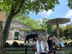 Perhatian! Kebun Binatang Ragunan Tutup di Hari Pertama Lebaran