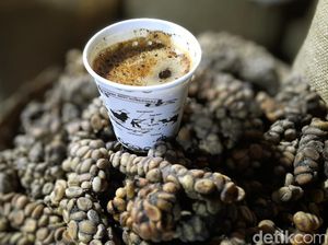 Mengulik Sejarah Kopi Rakyat Bondowoso yang Miliki Sertifikasi Indikasi Geografis Mengulik Sejarah Kopi Rakyat Bondowoso yang Miliki Sertifikasi Indikasi Geografis